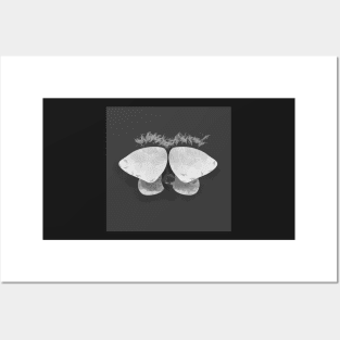 Monochromatic Moth Posters and Art